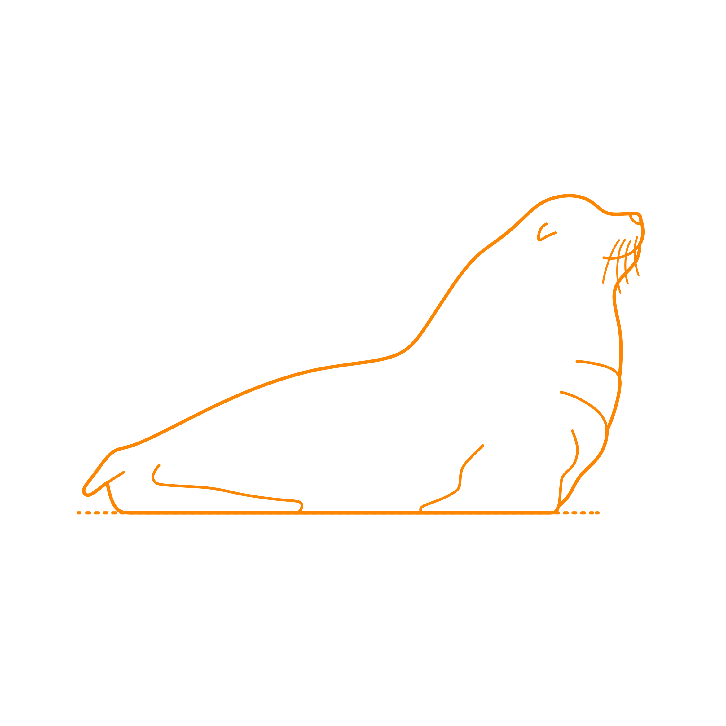 Animals Seals Steller Sea Lion Digital Sketch Svg Design Free Vectors